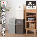 ごみ箱 ゴミ箱 30リットル ダストボックス 30L フラップ式 2段重ねOK ふた付き 蓋付き スリム 分別 おしゃれ キッチン 台所 棚下 カウンター下 縦型 スタッキング 積み重ね 一人暮らし 事務所 白