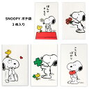 SNOOPY ぽち袋 ミニ封筒 お年玉袋 プチ袋 PEANUTS かわいい 封筒 3枚入り 日本製 雑貨 生活雑貨 おしゃれ 人気 お盆玉 お年玉 お祝い 祝儀袋 ウッドストック キャラクター グッズ ホールマーク ダブルスリー インスタ映え お手頃