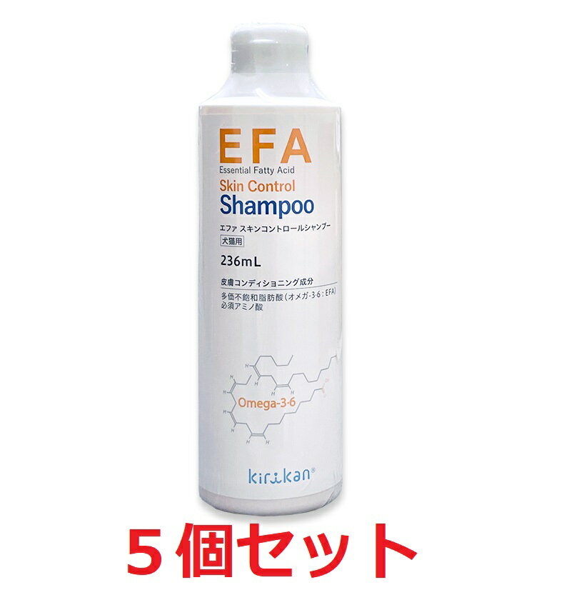 5ĥåȡۡEFA󥳥ȥ ס236mLˡ5ġۡڸѡۡڥեӥ/󥱥 (C5)