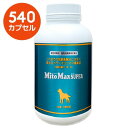 【マイトマックス・スーパー 中型・大型犬用 540カプセル ×1個】【共立製薬【腸】マイトマックススーパー (発)(4)