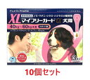 【あす楽】【10箱セット (30本分)】【マイフリーガードα 犬用XL(40〜60kg未満) 3本入 ×10箱】【計30本】【動物用医薬品】 [ノミ・マダニ駆除...