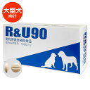 【お取り寄せ)【R&U90 100粒×1個】大型犬向け【共立製薬】【皮膚・被毛】 (C4)※リニューアル商品でお届けする場合がございます。