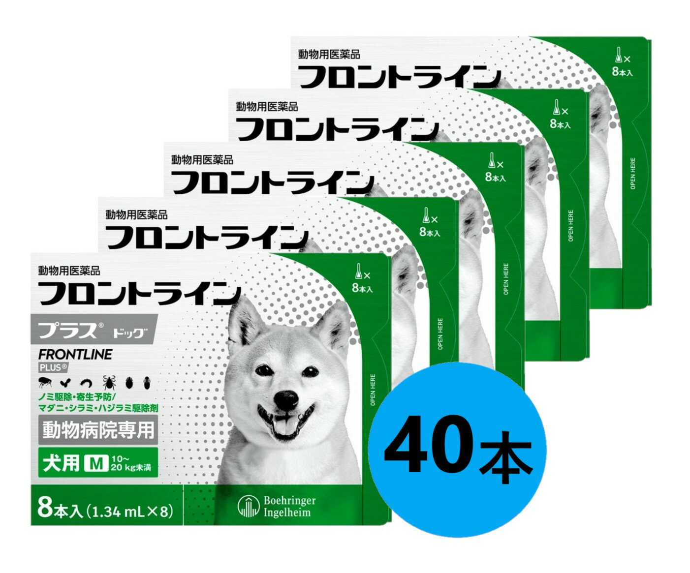 5Ȣåȡۡڥեȥ饤ץ饹 ɥåM1020kg̤ 85Ȣ(եȥ饤 ץ饹  M)ưʪѰʡ [...