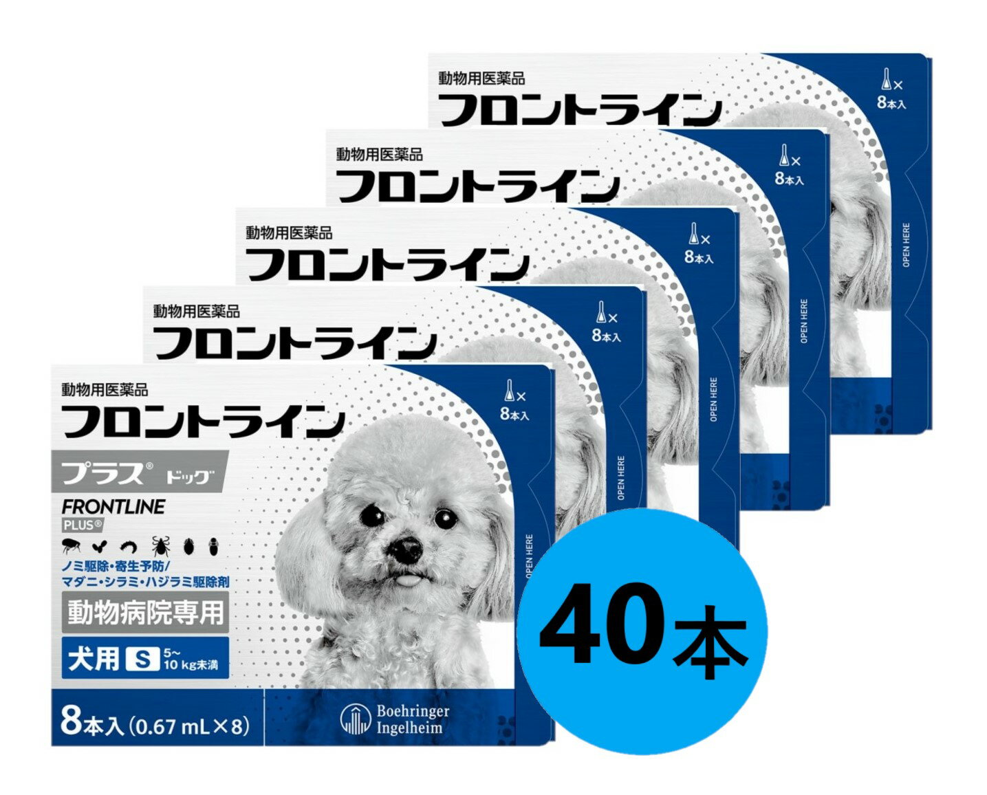 5Ȣåȡۡڥեȥ饤ץ饹 ɥå S510kg̤ 85Ȣ(եȥ饤 ץ饹  S)ưʪѰʡ [...