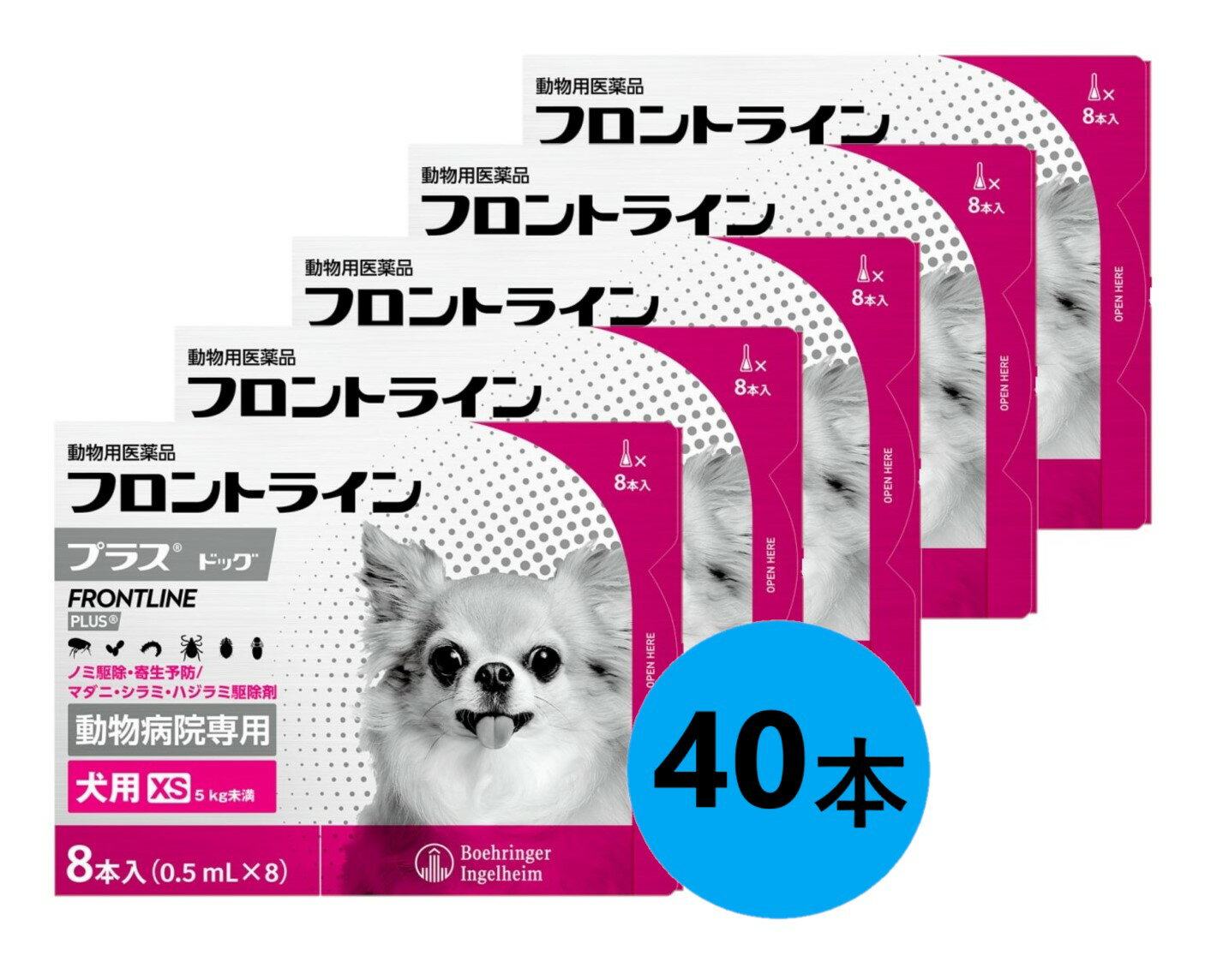 5Ȣåȡۡڥեȥ饤ץ饹 ɥå XS5kg̤ 85Ȣ(եȥ饤 ץ饹  XS)ưʪѰʡ [...