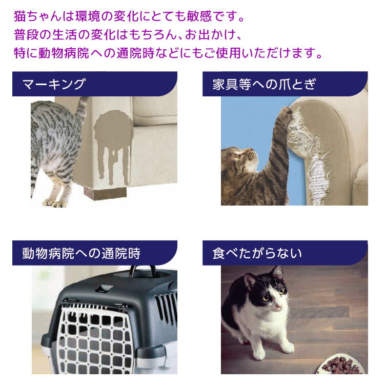 【あす楽】『フェリウェイ スプレー 60mL×1個』猫用【セバ・ジャパン】【猫用フェロモン製品】 (C6) 3