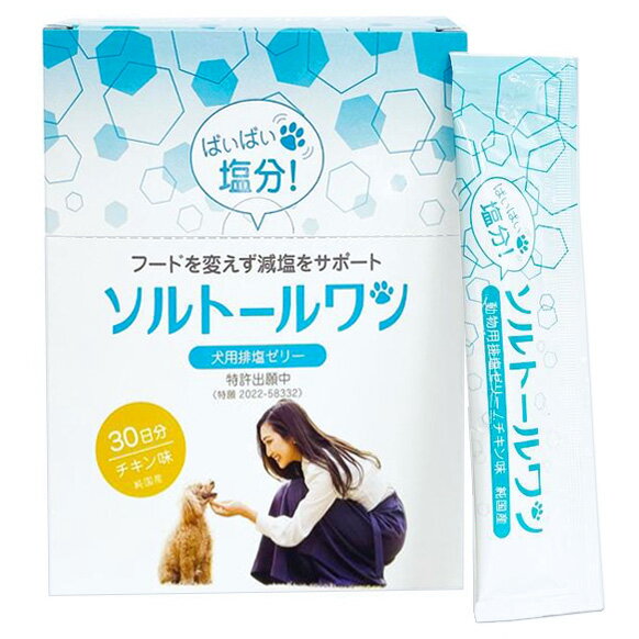 『ソルトールワン (10g×60包入) ×1箱』【犬用排塩ゼリー】【日本全薬工業】(ソルトール ワン)【新発売】 (発)