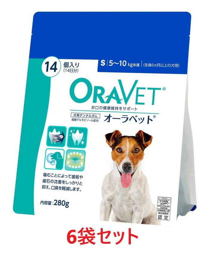 【あす楽】【6個セット】【オーラ�