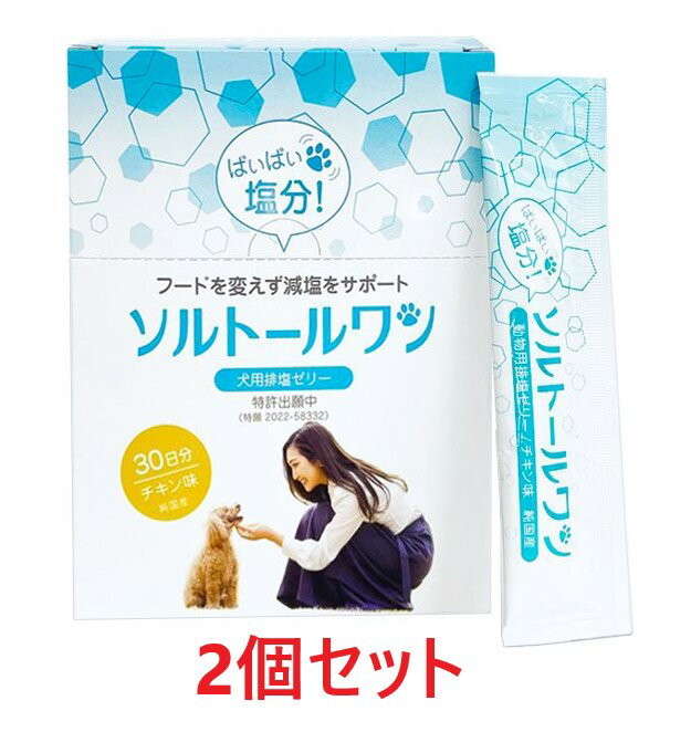 【2箱セット】【ソルトールワン (10g×60包入) ×2箱】【犬用排塩ゼリー】【日本全薬工業】(ソルトール ワン)【新発売】 (発)