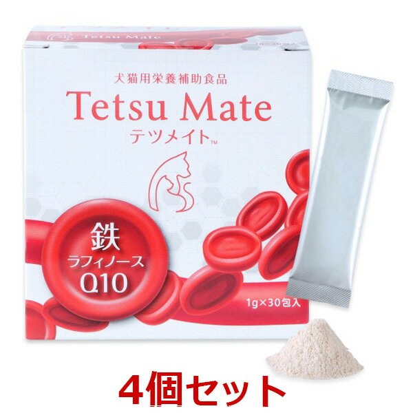 ڤڡۡ4Ȣåȡۡڥƥĥᥤ (1g30) 4Ȣۡڸǭۡȡۡ (ȯ)
