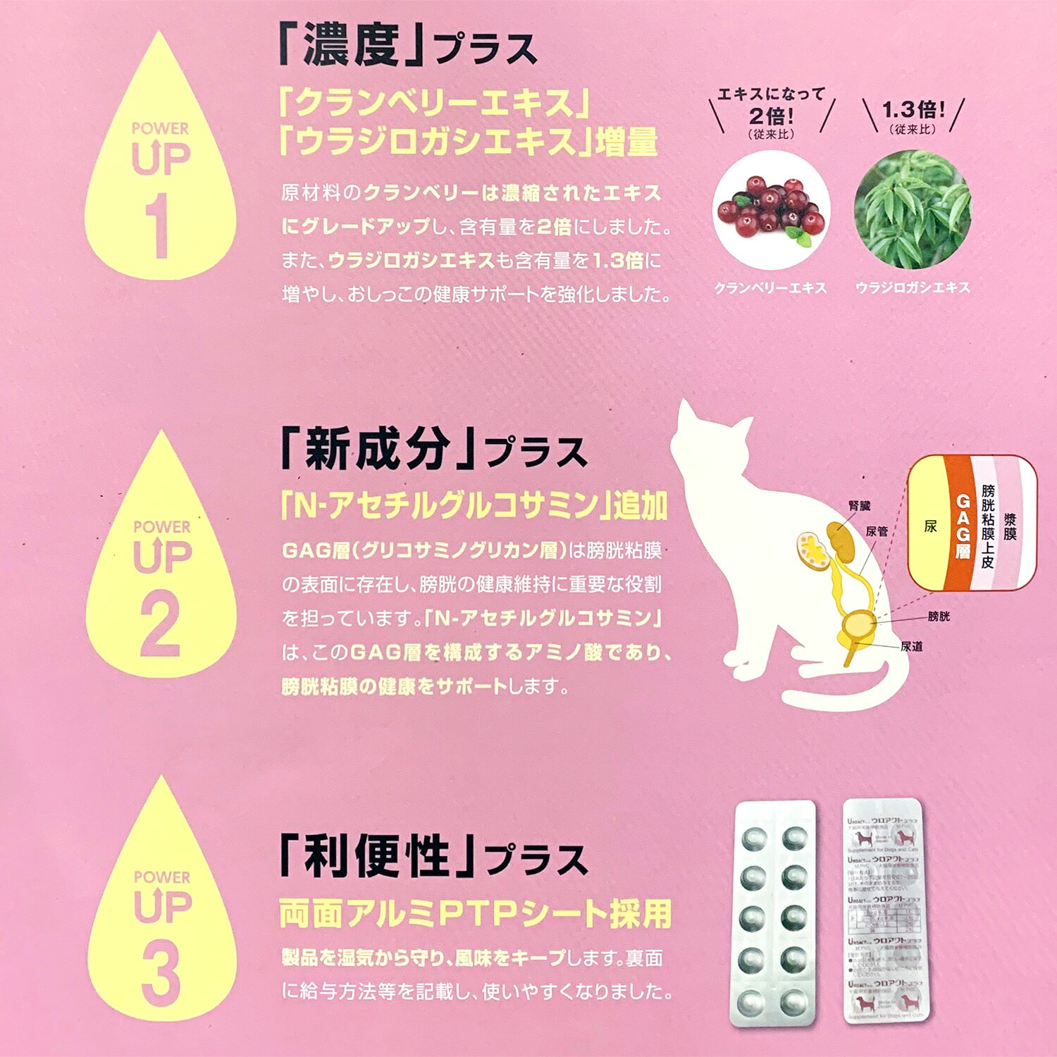 【あす楽】【2箱セット】【ウロアクトプラス (100粒)×2箱】【犬猫】【尿】【日本全薬工業】(ウロアクト プラス) (C)