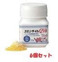 【6個セット】【コエンザイムQ10 (20g