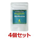 楽天ペット犬猫療法食動物病院【あす楽】【4個セット】【マイトマックス スーパー 小型犬・猫用 60カプセル×4個】【パウチ】【腸】共立製薬　マイトマックススーパー （C）