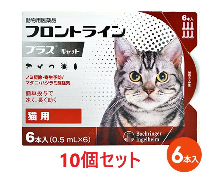 楽天ペット犬猫療法食動物病院【あす楽】【10箱セット】【フロントラインプラス キャット 6本入×10箱】（フロントライン プラス 猫用）【動物用医薬品】 [ノミ駆除・寄生予防 / マダニ・ハジラミ駆除剤] （発）