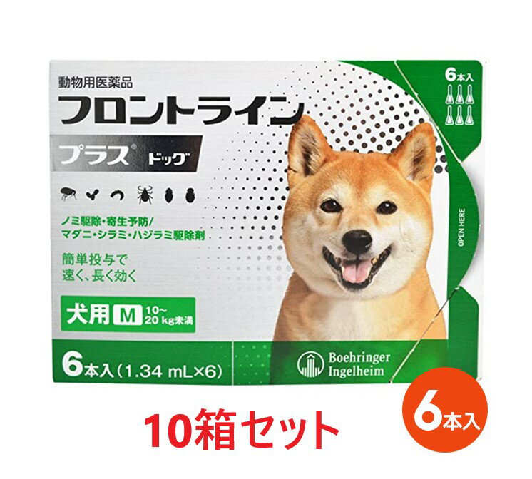 楽天ペット犬猫療法食動物病院【あす楽】【10個セット】【フロントラインプラス ドッグ M（10～20kg未満） 6本入×10箱】【使用期限：2025/4/30】【動物用医薬品】 [ノミ・マダニ駆除薬] （発）