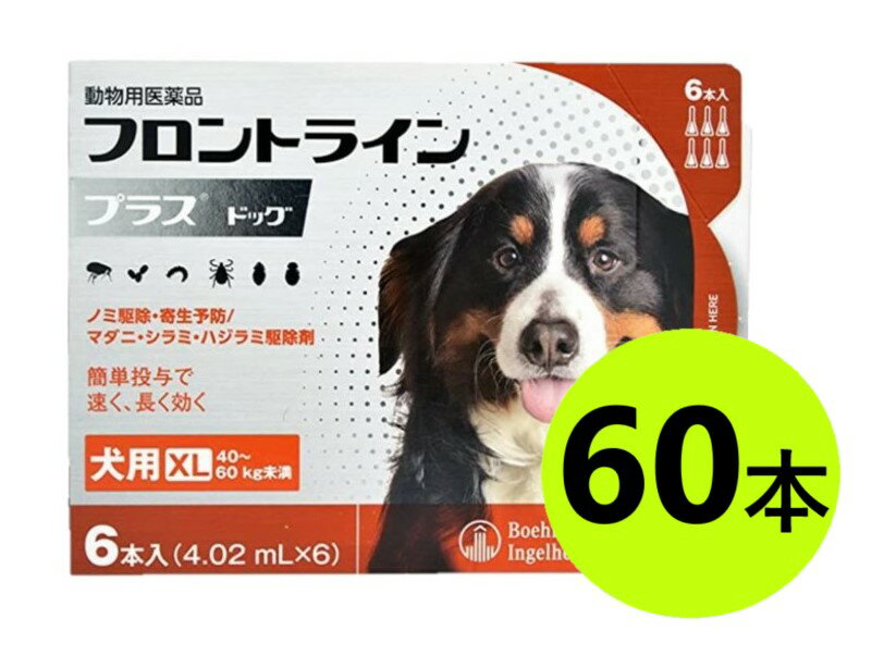 【10箱セット】【フロントラインプラス ドッグ XL（40〜60kg未満） 6本入×10箱】(フロン