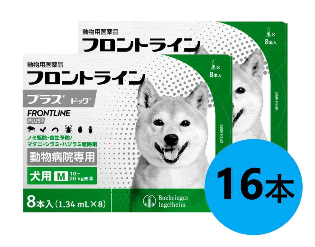 2Ȣåȡۡڥեȥ饤ץ饹 ɥåM1020kg̤ 82Ȣ(եȥ饤 ץ饹  M)ưʪѰʡ [...