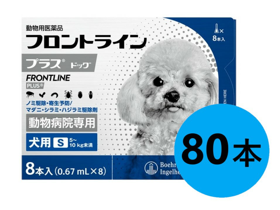 【10箱セット】【フロントラインプラス ドッグ S（5〜10kg未満） 8本入×10箱】(フロントラ