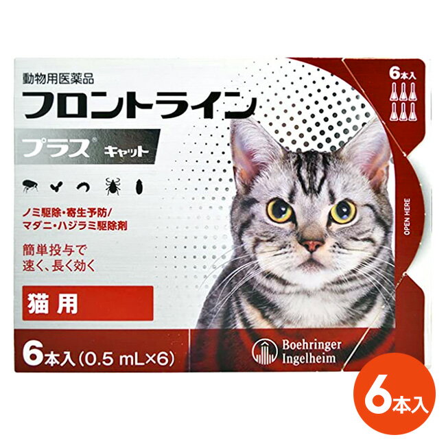 楽天ペット犬猫療法食動物病院【あす楽】『フロントラインプラス キャット 6本入×1箱』（フロントライン プラス 猫用）【動物用医薬品】 [ノミ駆除・寄生予防 / マダニ・ハジラミ駆除剤] （C4）