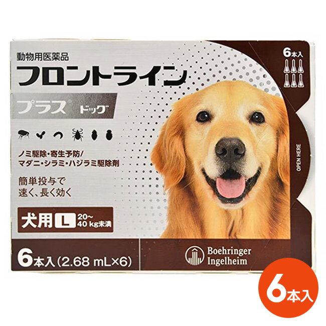 【フロントラインプラス ドッグ L（20～40kg未満） 6本入×1箱】(フロントライン プラス 犬用 L)【動物用医薬品】 [ノミ・マダニ駆除薬] (C4)