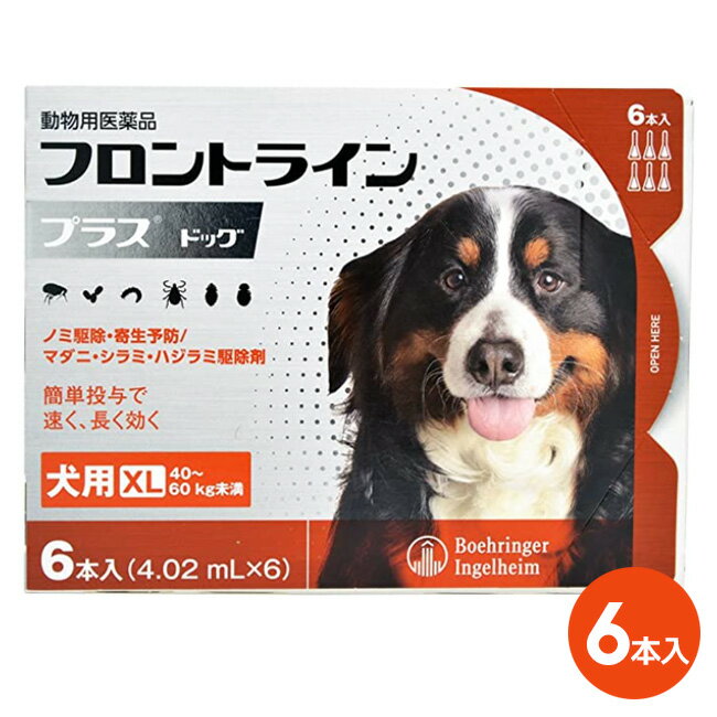 【フロントラインプラス ドッグ XL 40～60kg未満 6本入 1箱】 フロントライン プラス 犬用 XL 【動物用医薬品】 [ノミ・マダニ駆除薬] C4 