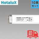 ★【10本セット】ホタルクス(旧NEC) FL20SEX-D-HG2 グロースタータ形 20W 3波長形 昼光色 直管蛍光灯 【法人限定】