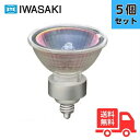 【5個セット】岩崎 JR12V45WUV/NK5EZ/HA3 ダイクロクールハロゲン EZ10 狭角 【送料無料】