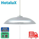 ホタルクス(旧NEC) HCDB0853-X LEDペンダントライト 8畳 昼光色 調光 文字はっきり【送料無料】