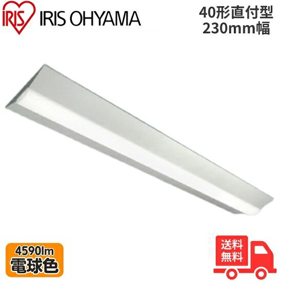 ꥹ LX3-190-45L-CL40W LED١饤 ľշ 40 230mm ŵ忧 4590lm Ĵ ...