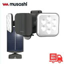 ムサシ RITEX ライテックス S-HB250 6.5W×2灯 フリーアーム式 LED ソーラーと電池のハイブリッドタイプ W電源【送料無料】