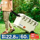 アイリスオーヤマ HUGEL ヒューゲル VITC-60 クーラーボックス 60L 保冷バック ハード 大型 ホワイトアッシュ 真空断熱 キャスター付き ハンドル付き釣り アウトドア スポーツ レジャー キャンプ 防災 VITC60【送料無料】
