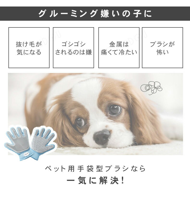 ��2024 �ǿ��ǡ� �ڥåȥ֥饷 ���롼�ߥ󥰥������� ǭ �֥�å��� �֥饷 ���� ȴ���Ӽ�� ���꡼�ʡ� �ޥå������֥饷 �� �ڥå��Ӽ��֥饷 �����ѡ��ڥå��Ѽ��޷��֥饷 ���� �ڥå� �֥�å��� �֥饷 �������� ���� �� ǭ ȴ���� ���餫�Ǻ� ��������