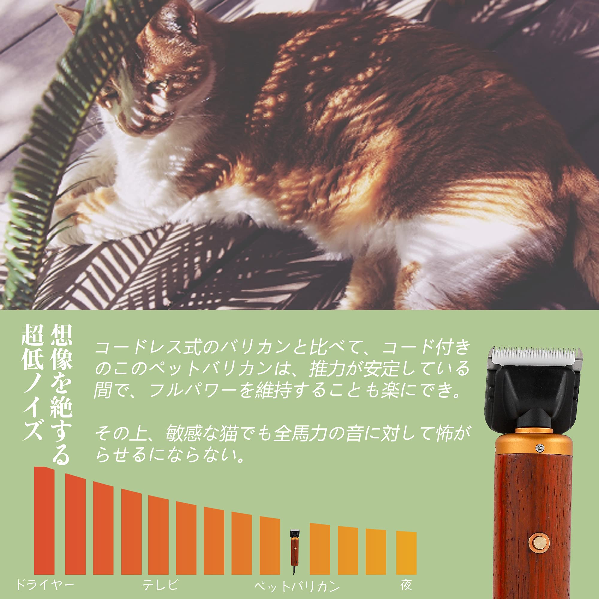 サンプル画像2