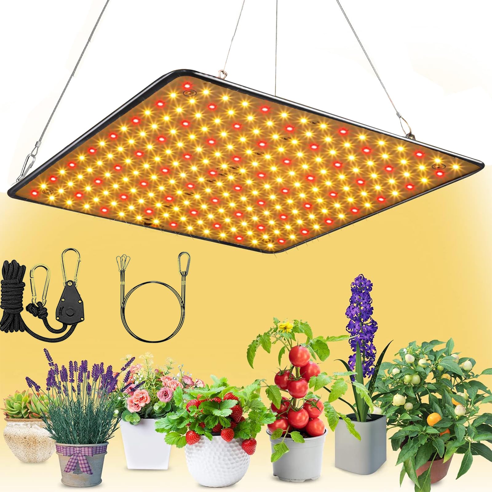 楽天市場】観葉植物 植物育成ライト（ホビー）の通販