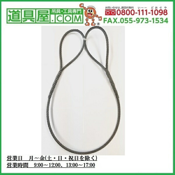 玉掛け　両端編込メッキワイヤ6X37G/O　径30mm　長さ5m　玉600mm