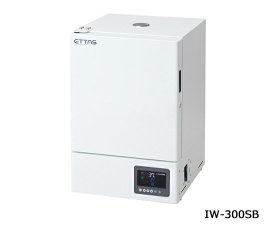 w19007β