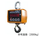 【直送品】 アズワン 電子式吊り秤 ハンディコスモII 300kg 0.3ACBP (3-8316-01) 《計測・測定・検査》 【特大・送料別】