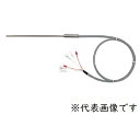 【ポイント10倍】【直送品】 アズワン ダブルエレメント測温抵抗体 WPtφ4.8×500 (3-9390-03) 《計測・測定・検査》