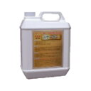 【ポイント10倍】【直送品】 ケミックス スケーラー 4L SK4 【大型】