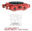 【ポイント5倍】ダイキ スピードローラー DSWS-10 標準タイプ