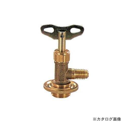 ǥ󥲥 ӥ̥Х CP-V134