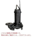 【直送品】 エバラポンプ (荏原製作所) DL型 汚水汚物用水中ポンプ 250DL511A (11kW 200V 50Hz)(4)