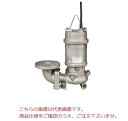 【直送品】 エバラポンプ (荏原製作所) DVSL型 ステンレス製セミボルテックス水中ポンプ 80DVSL52.2A (2.2kW 200V 50Hz)(4)