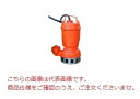 【ポイント10倍】【直送品】 エレポン 水中ポンプ KWIIG-250S-60Hz (KWIIG-250S-6) (100V/60Hz) 雑排水用