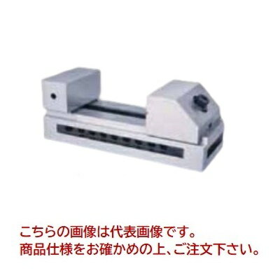 【ポイント10倍】ギガ・セレクション SK精密バイス GSVS30