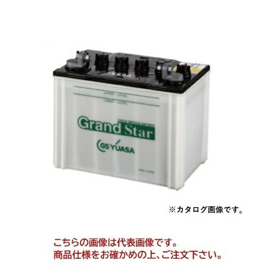 【ポイント5倍】【直送品】 GSユアサ バッテリー EB グランドスター 小型電動車用鉛蓄電池 EB50-LE
