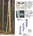 【直送品】 ハラックス ワンダ アルミ製枝打はしご WR-60 【大型】