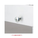 【ポイント10倍】【直送品】 長谷川工業 ハセガワ SUS製連結ピン DCS-PS (10739) 《オプション》