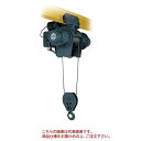 【ポイント10倍】【直送品】 日立 ローヘッド形ホイスト Vシリーズ 5t/揚程 6m (5L5) (ホイスト本体) 【特大・送料別】