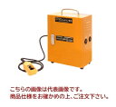 【ポイント10倍】【直送品】 育良精機 インバータボックス200V(ケーブルプルダウン用) ISK-V200PD (10187) 【法人向け・個人宅配送不可】